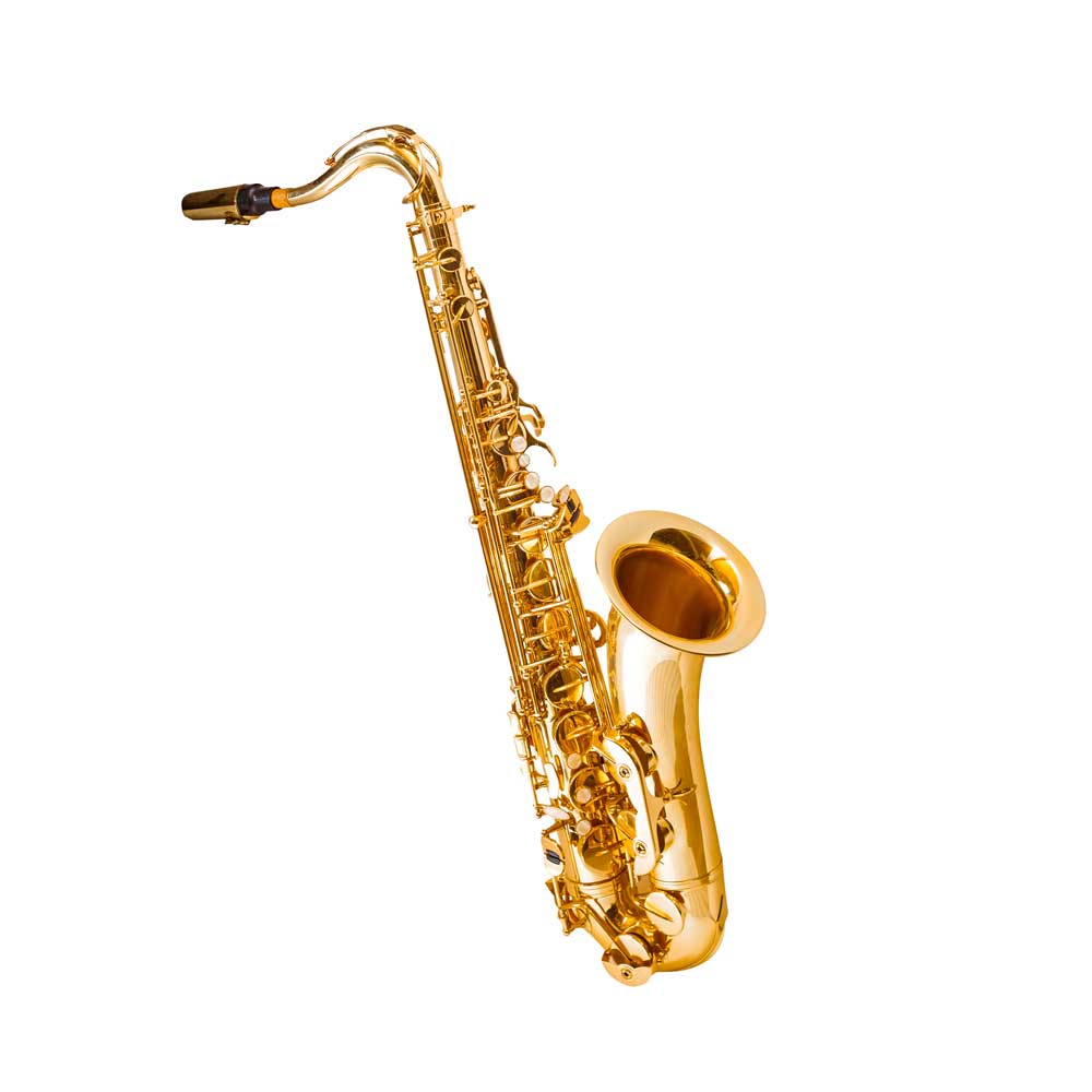 Saxophon Musikschule Wolfwil Fulenbach